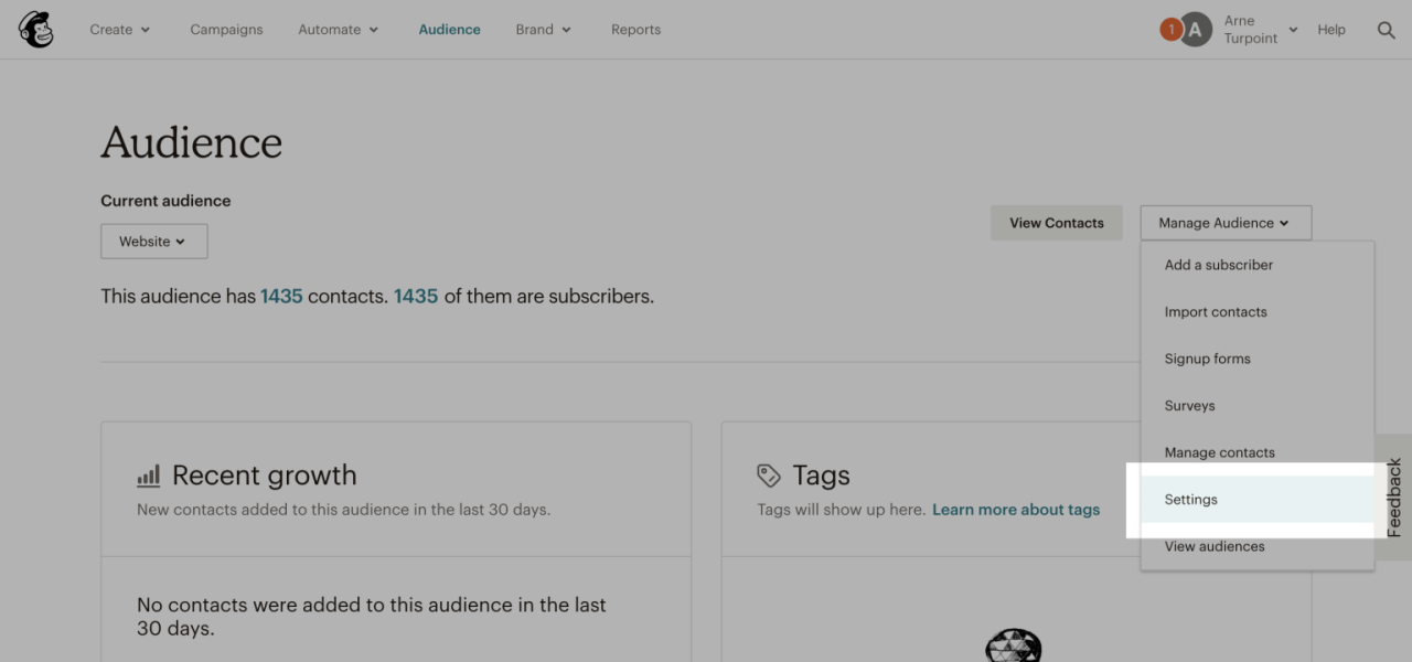 Screenshot van de Audience pagina in Mailchimp.